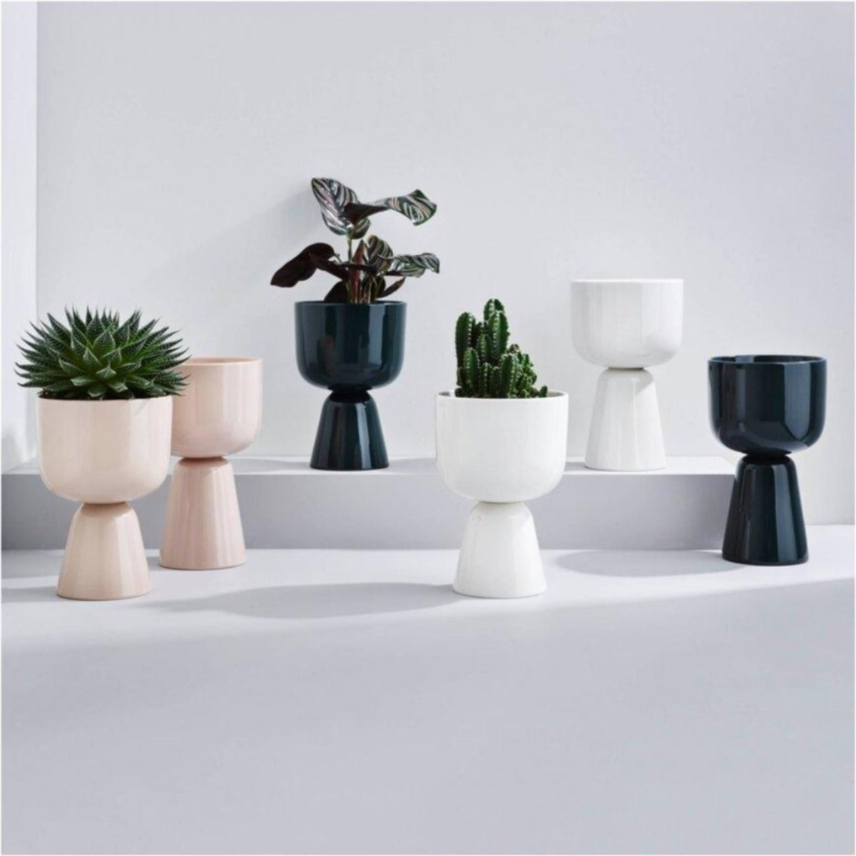 Nappula Plant Pots - Acacia