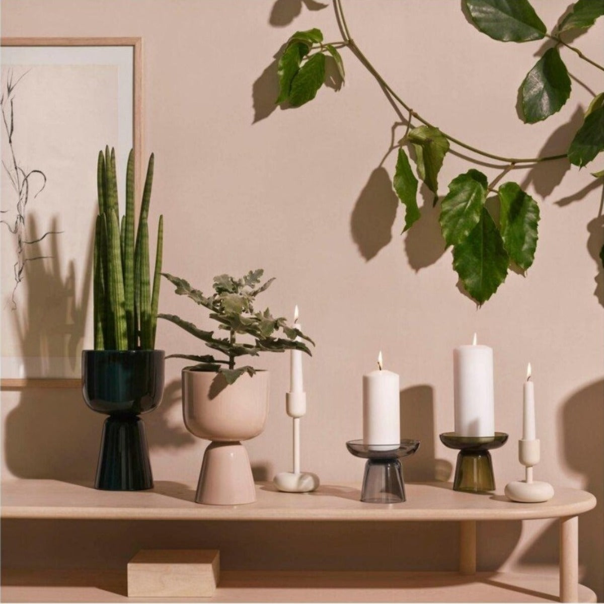 Nappula Plant Pots - Acacia