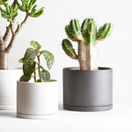 Grouping of two Kinto pots - large dark grey and medium light grey - with plants - against a white background.