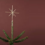 Brass Christmas Tree Star - Acacia