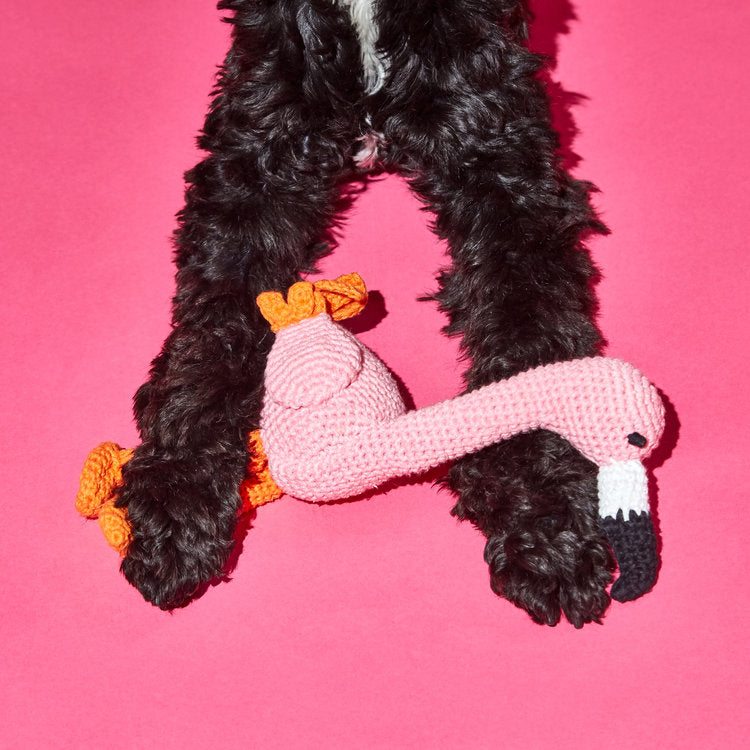 image of crocheted flamingo under dog paws